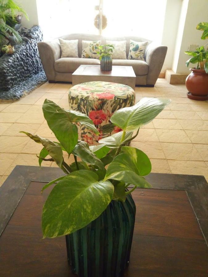 Illiyin Boutique Hotel Dakar Bagian luar foto